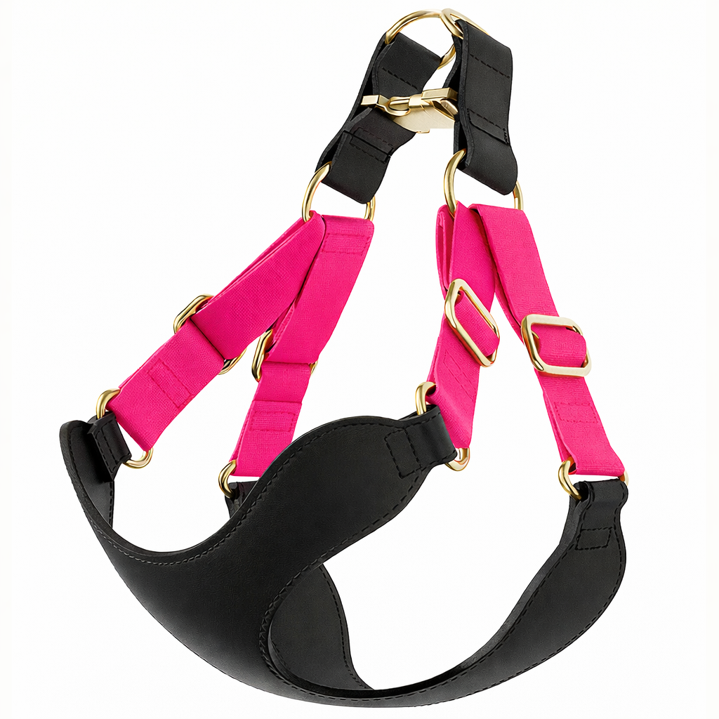 Luksusnahkainen lemmikin valjas ja talutin