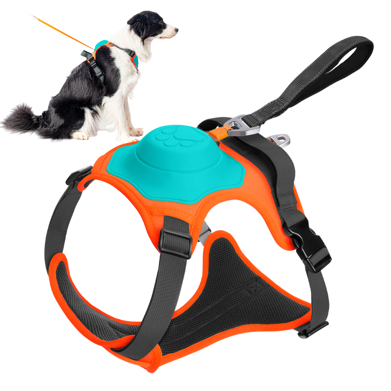 Automaattinen lemmikin hihna ja rintavaljas